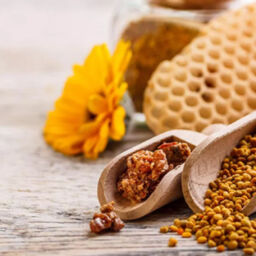 propolis nedir