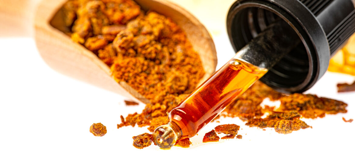 sıvı propolis